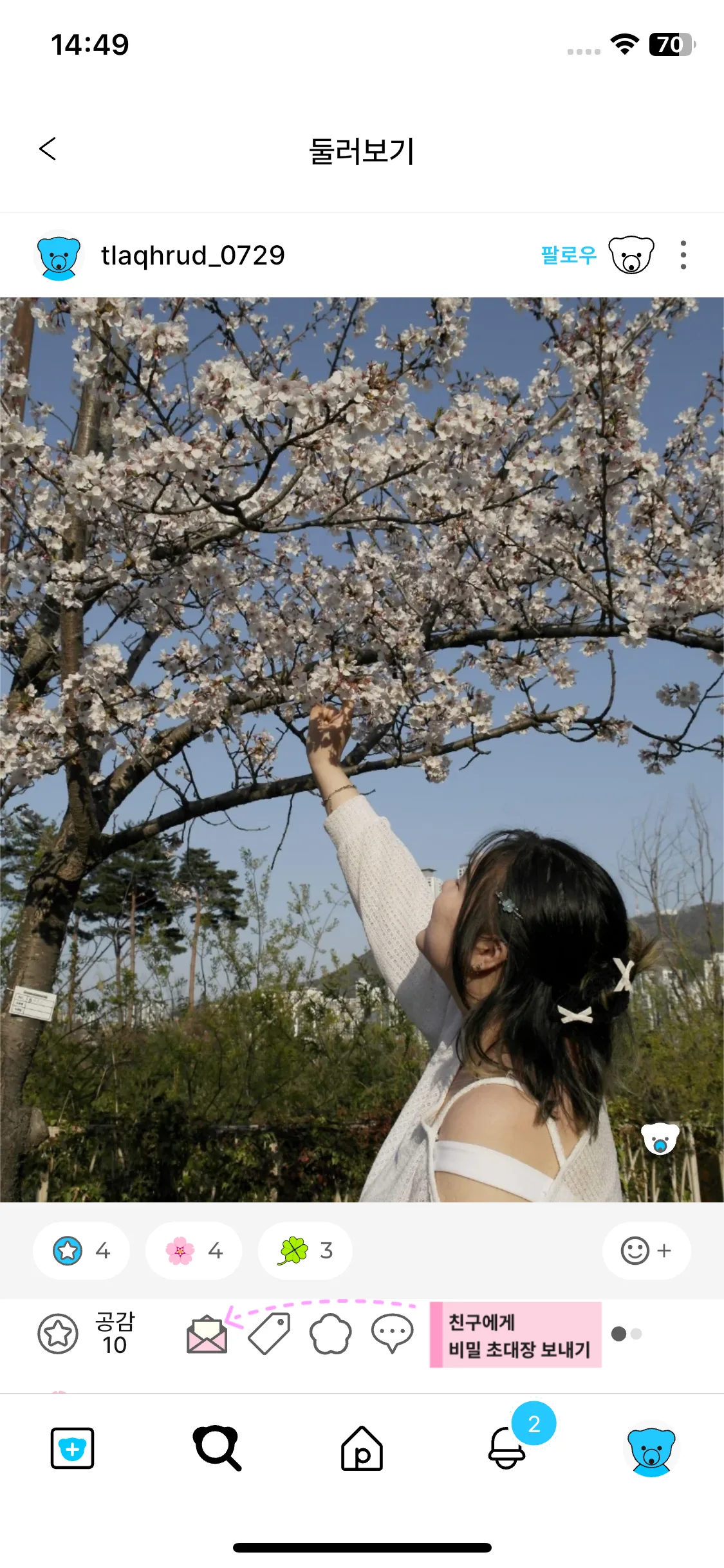 Test Image 10
